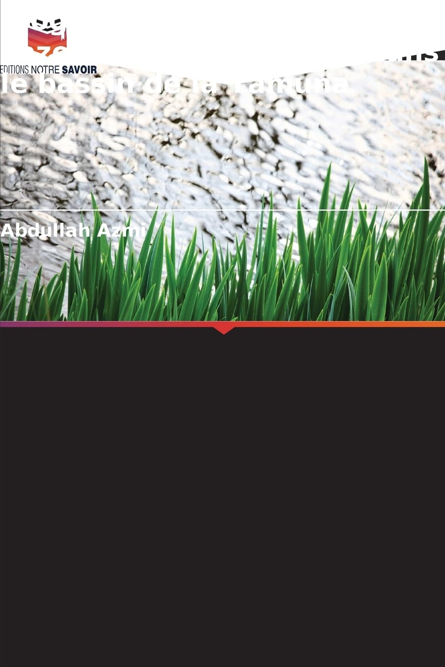 Biogéochimie du carbone, de l'azote et du phosphore dans le bassin de la Yamuna Books