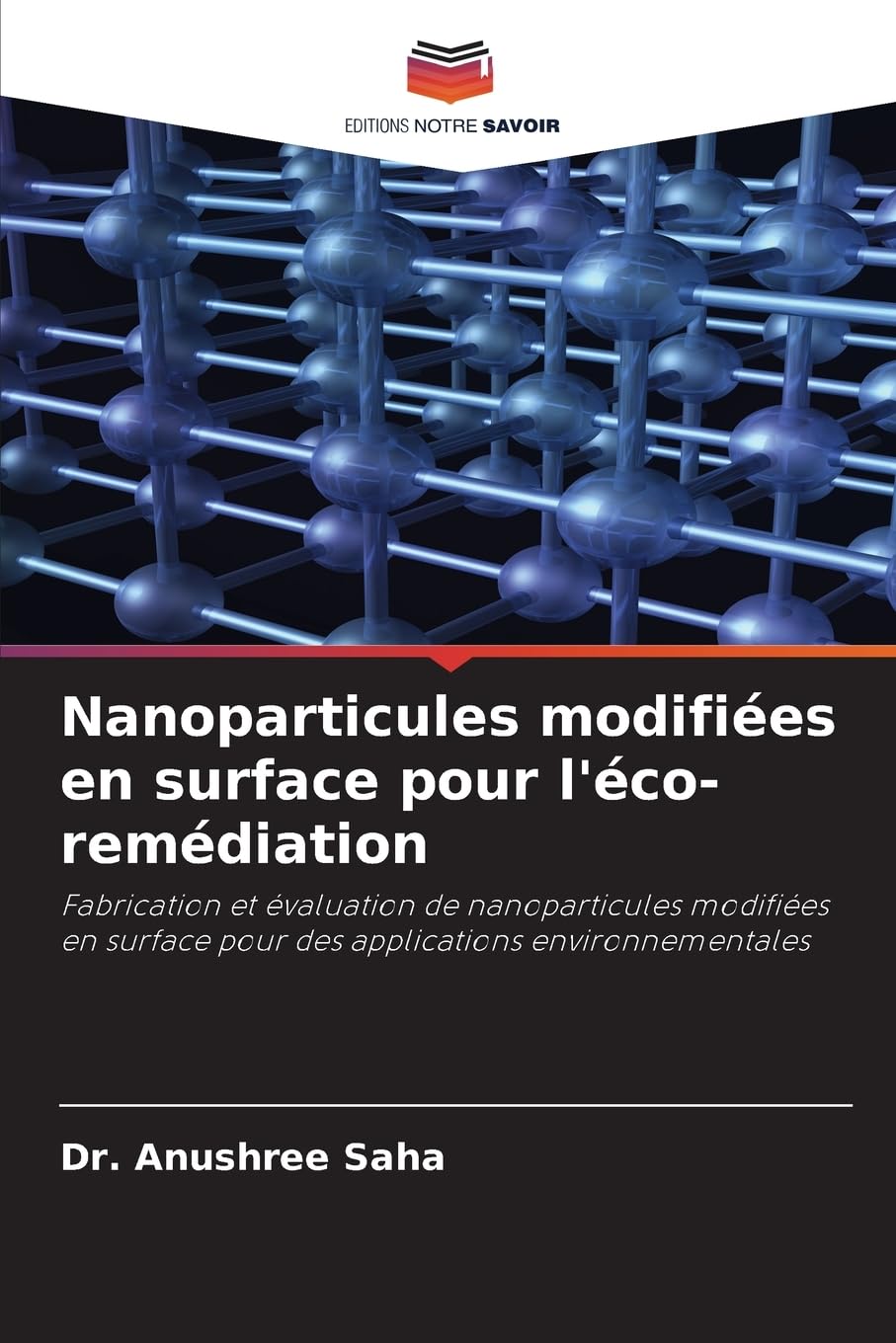 Nanoparticules modifiées en surface pour l'éco-remédiation Business & Technology
