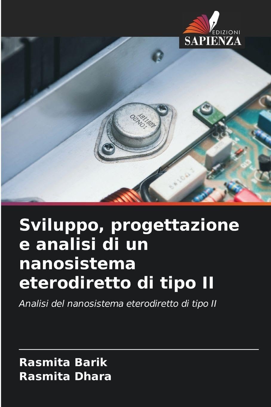 Sviluppo, progettazione e analisi di un nanosistema eterodiretto di tipo II Business & Technology