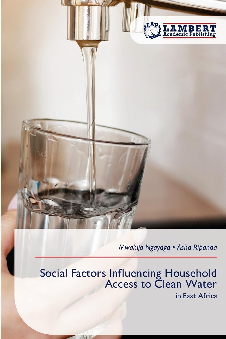 Social Factors Influencing Household Access to Clean Water Law