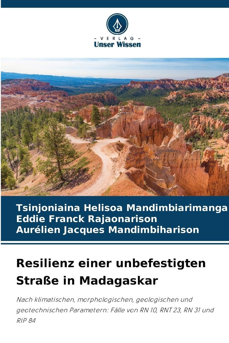 Resilienz einer unbefestigten Straße in Madagaskar Business & Technology
