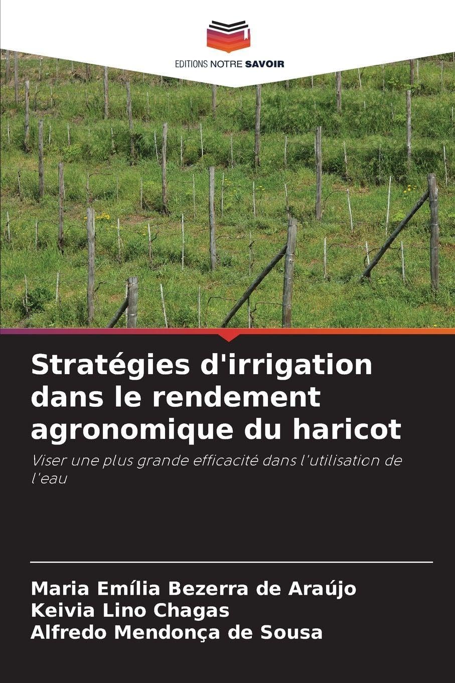 Stratégies d'irrigation dans le rendement agronomique du haricot Law
