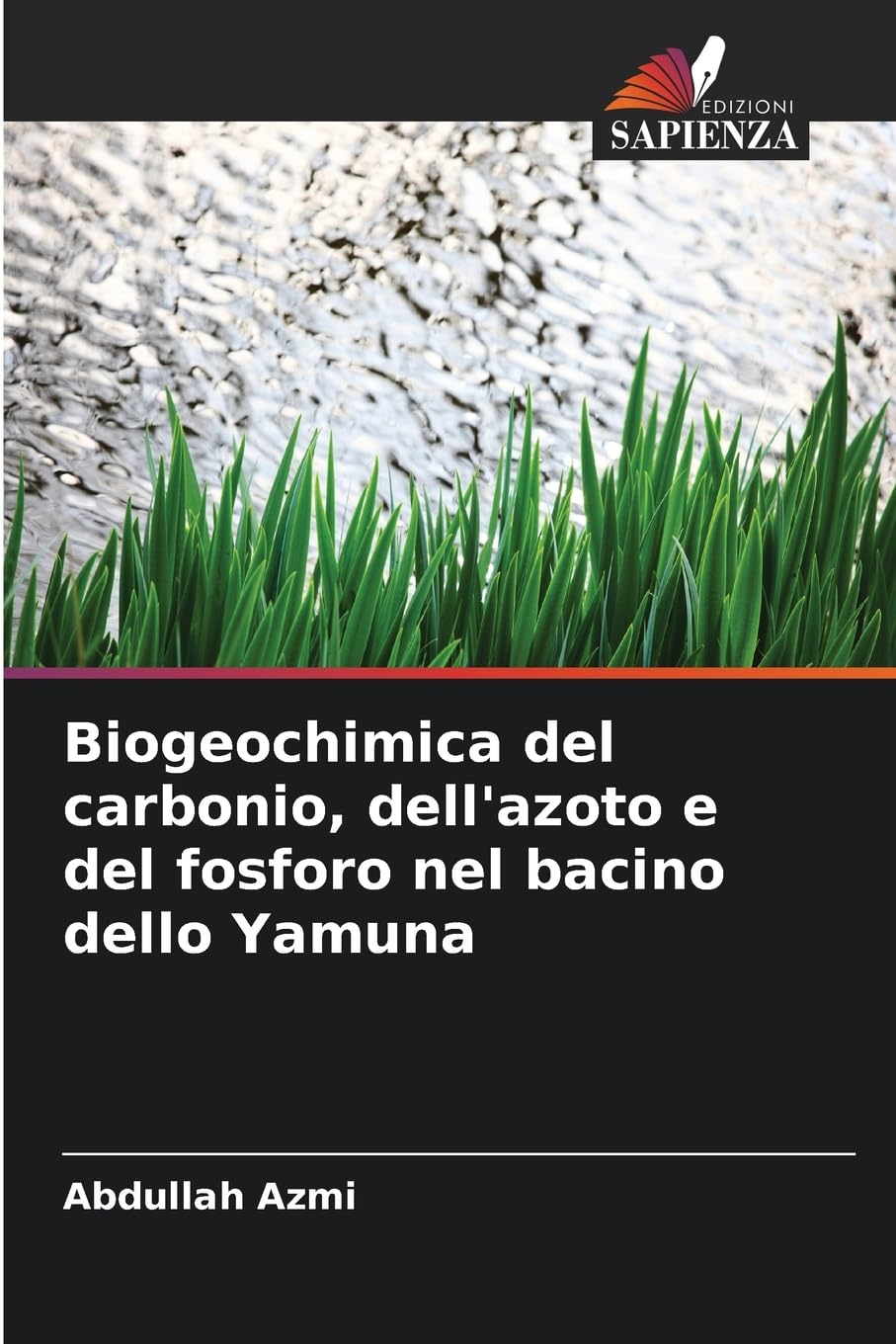 Biogeochimica del carbonio, dell'azoto e del fosforo nel bacino dello Yamuna Books