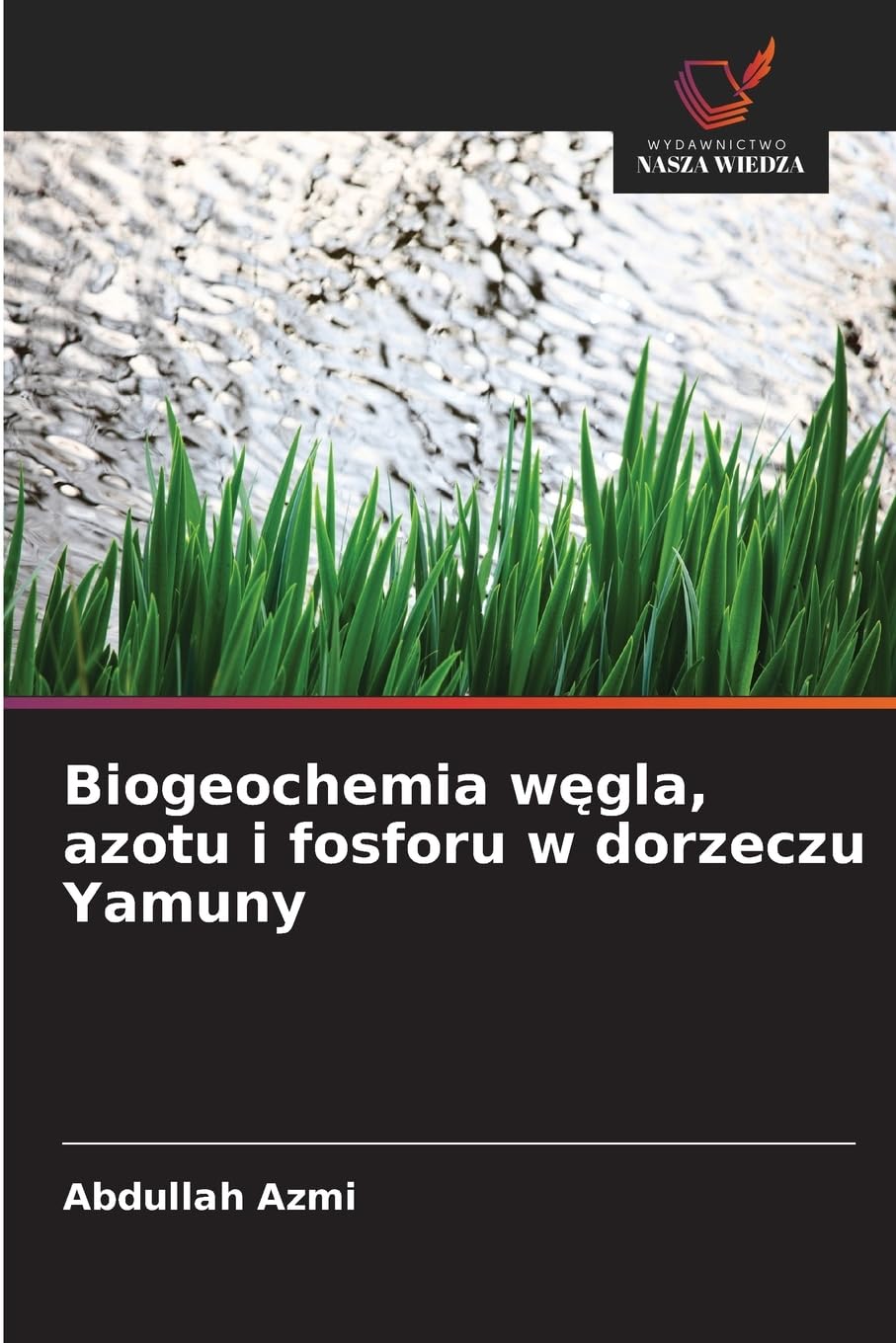 Biogeochemia w¿gla, azotu i fosforu w dorzeczu Yamuny Books