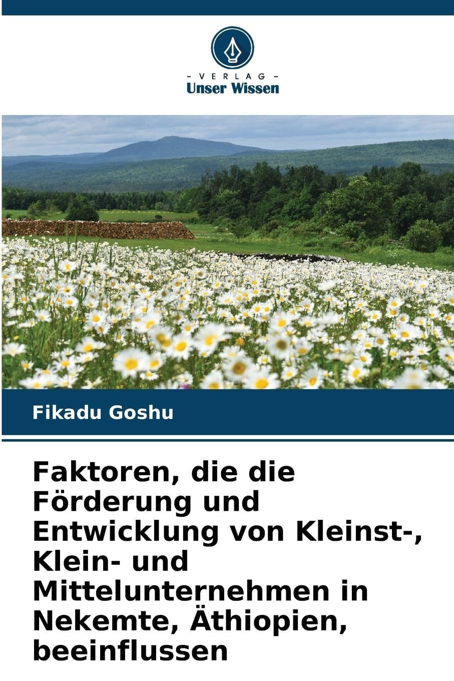 Faktoren, die die Förderung und Entwicklung von Kleinst-, Klein- und Mittelunternehmen in Nekemte, Äthiopien, beeinflussen Law