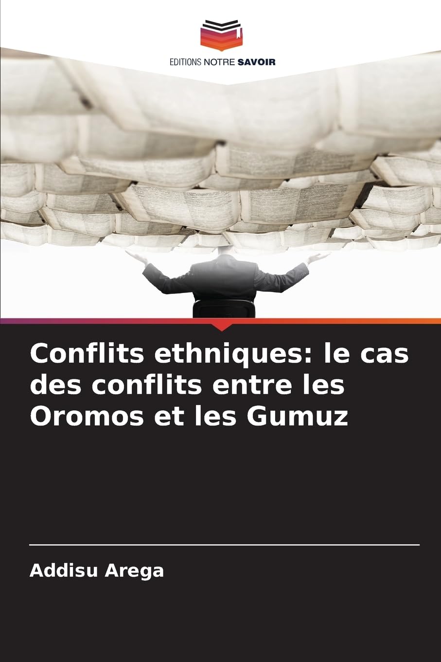 Conflits ethniques: le cas des conflits entre les Oromos et les Gumuz Books