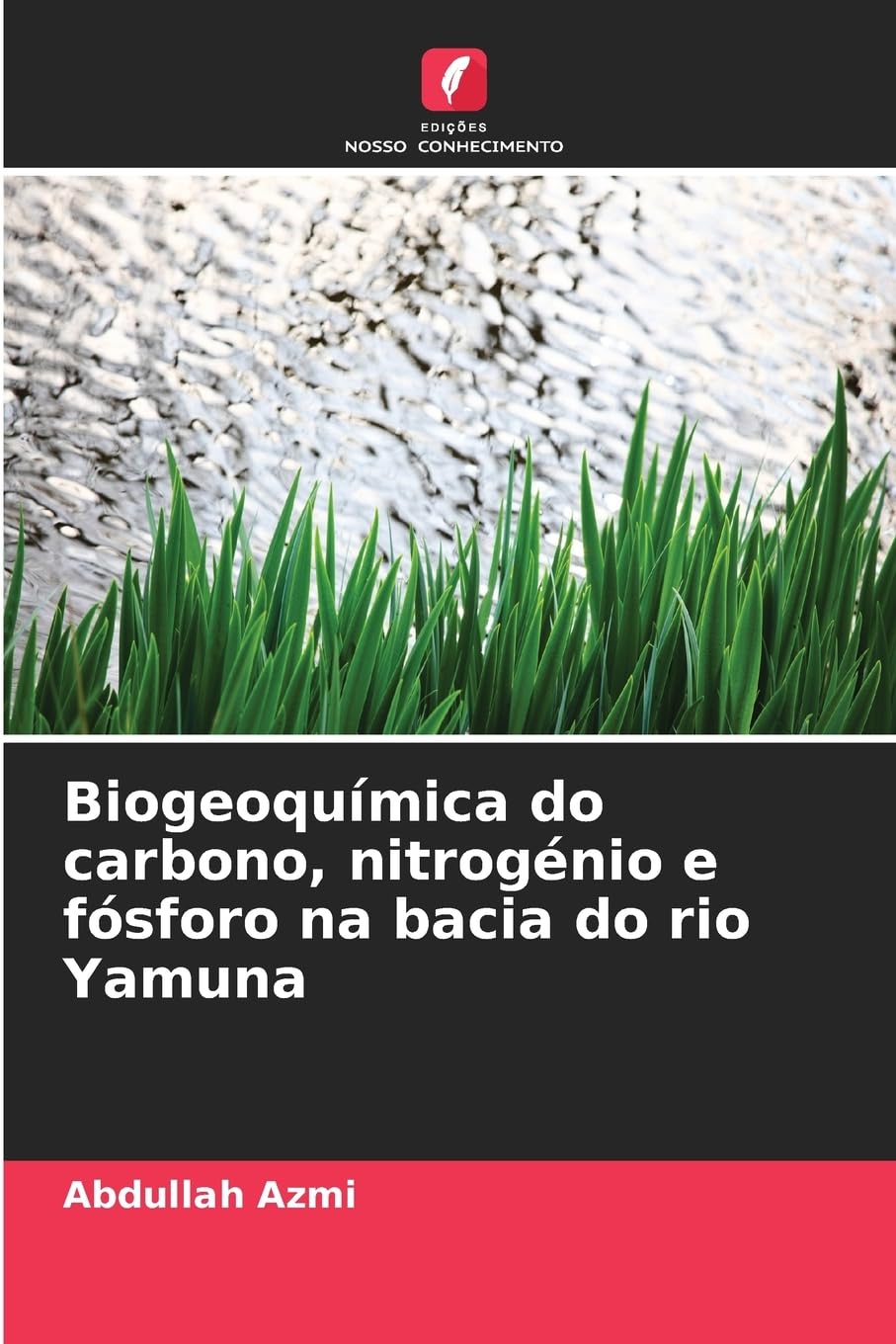 Biogeoquímica do carbono, nitrogénio e fósforo na bacia do rio Yamuna Books
