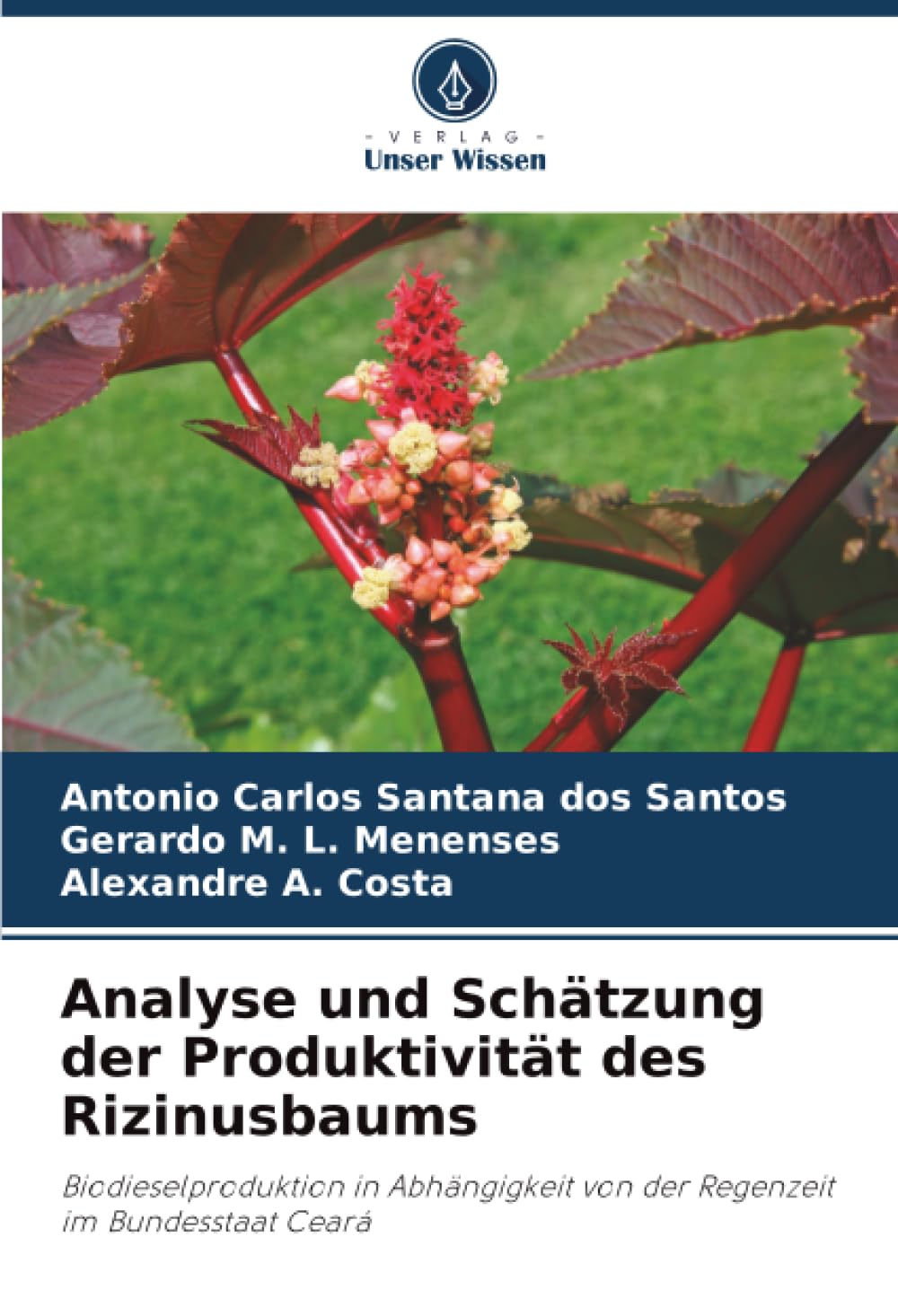 Analyse und Schätzung der Produktivität des Rizinusbaums Natural Sciences