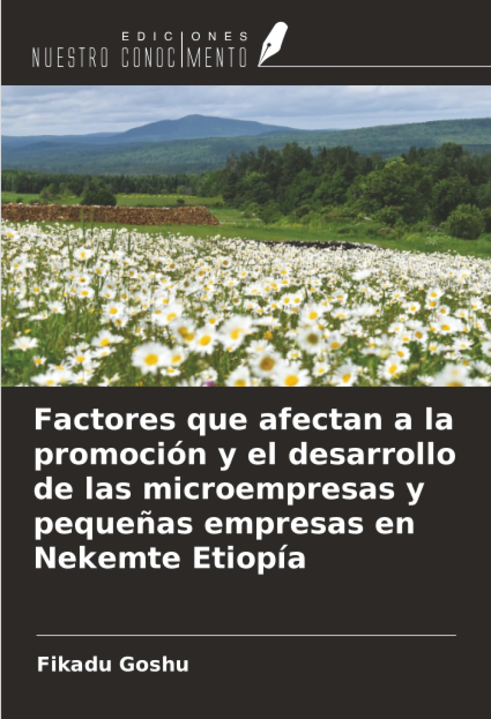 Factores que afectan a la promoción y el desarrollo de las microempresas y pequeñas empresas en Nekemte Etiopía Law