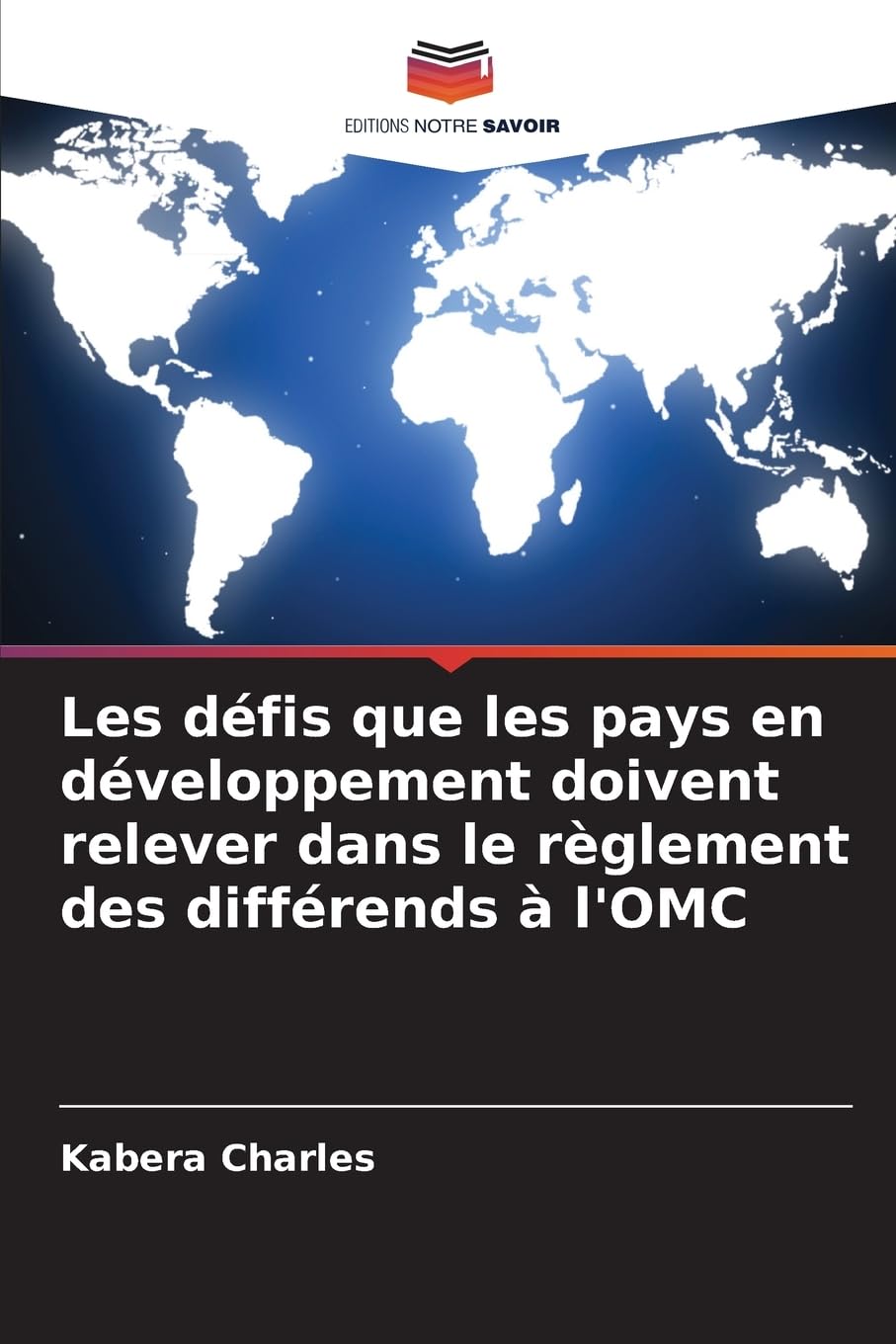 Les défis que les pays en développement doivent relever dans le règlement des différends à l'OMC Law