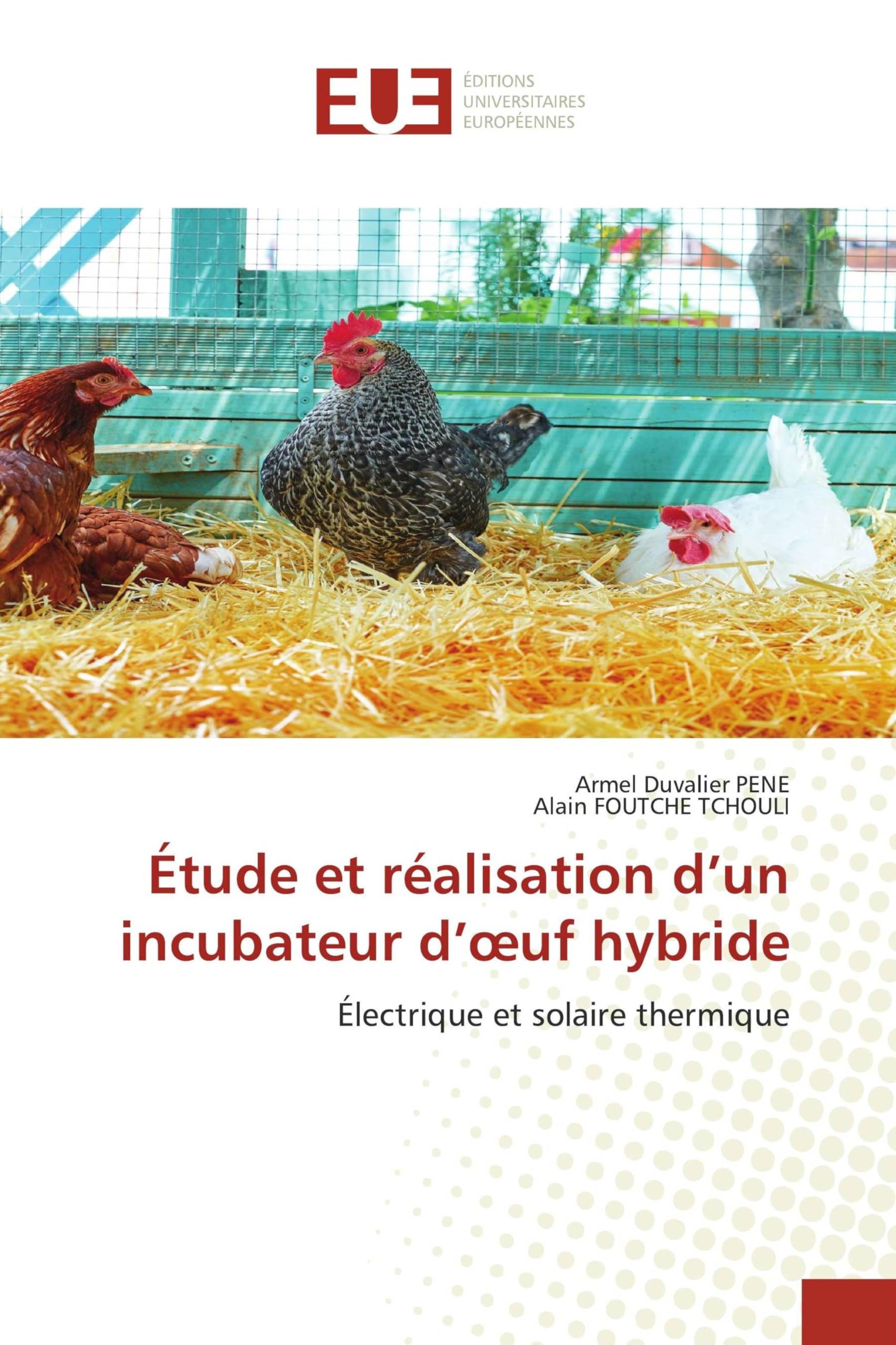 Étude et réalisation d'un incubateur d'¿uf hybride Business & Technology