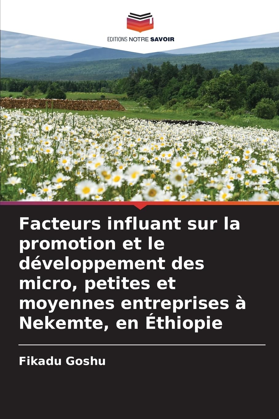 Facteurs influant sur la promotion et le développement des micro, petites et moyennes entreprises à Nekemte, en Éthiopie Law