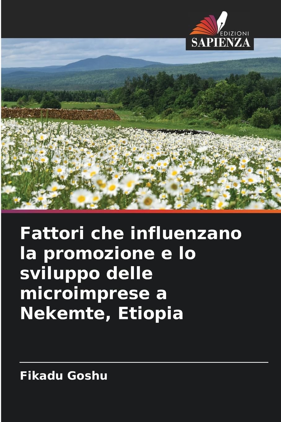 Fattori che influenzano la promozione e lo sviluppo delle microimprese a Nekemte, Etiopia Law