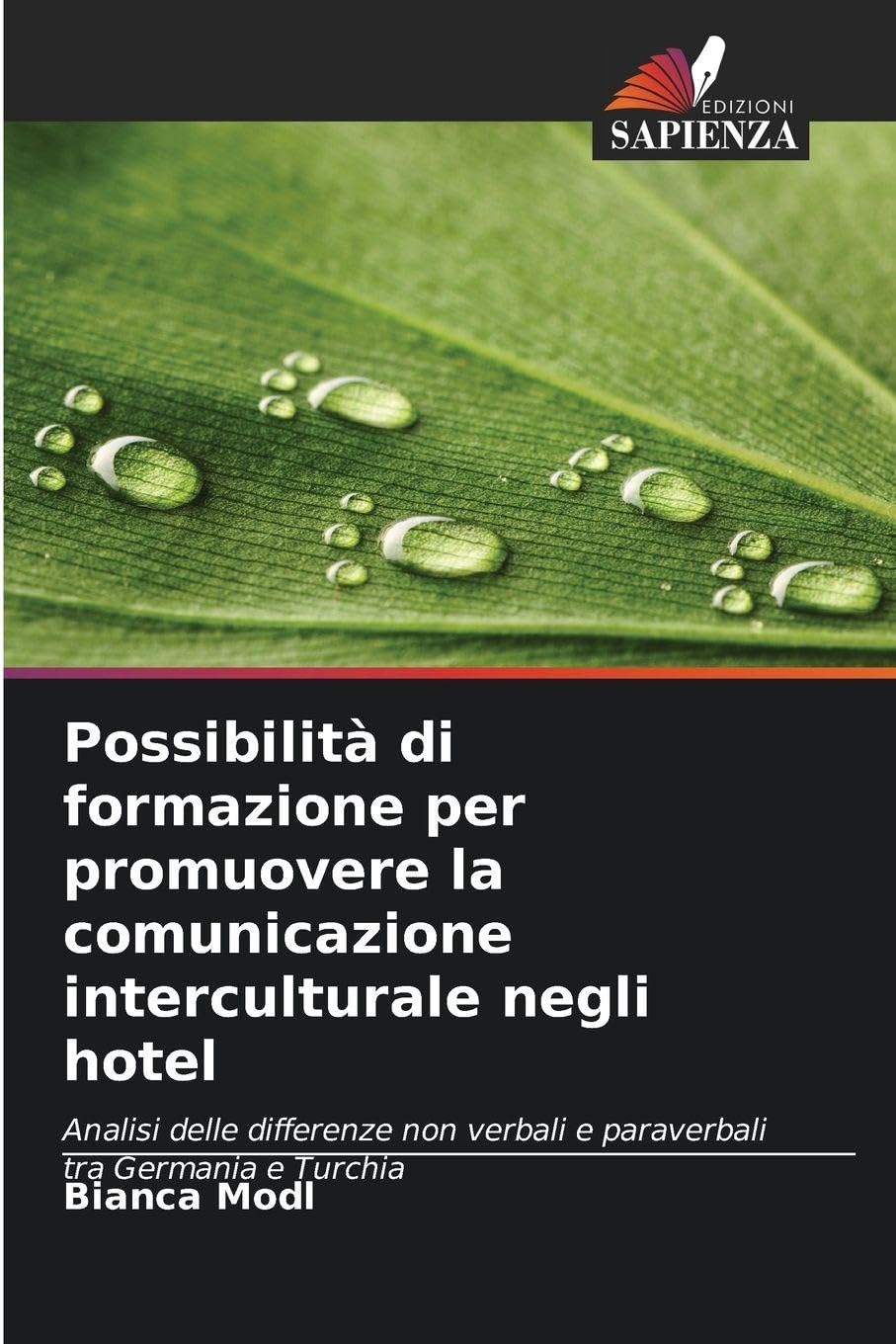 Possibilità di formazione per promuovere la comunicazione interculturale negli hotel Law