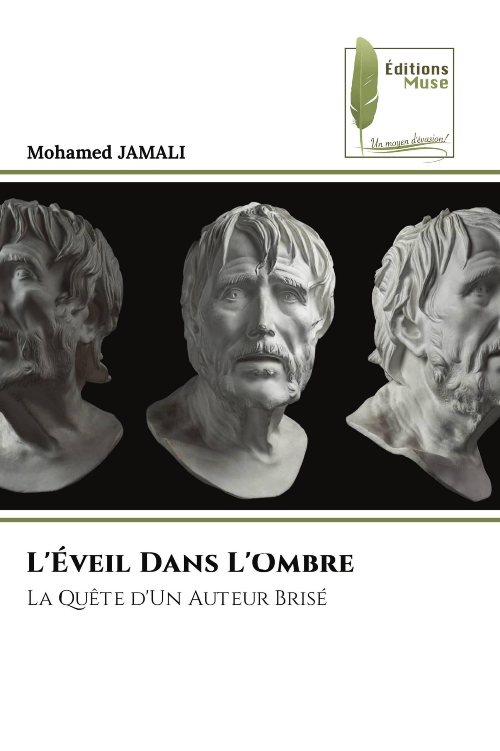 L'Éveil Dans L'Ombre: La Quête d'Un Auteur Brisé Books