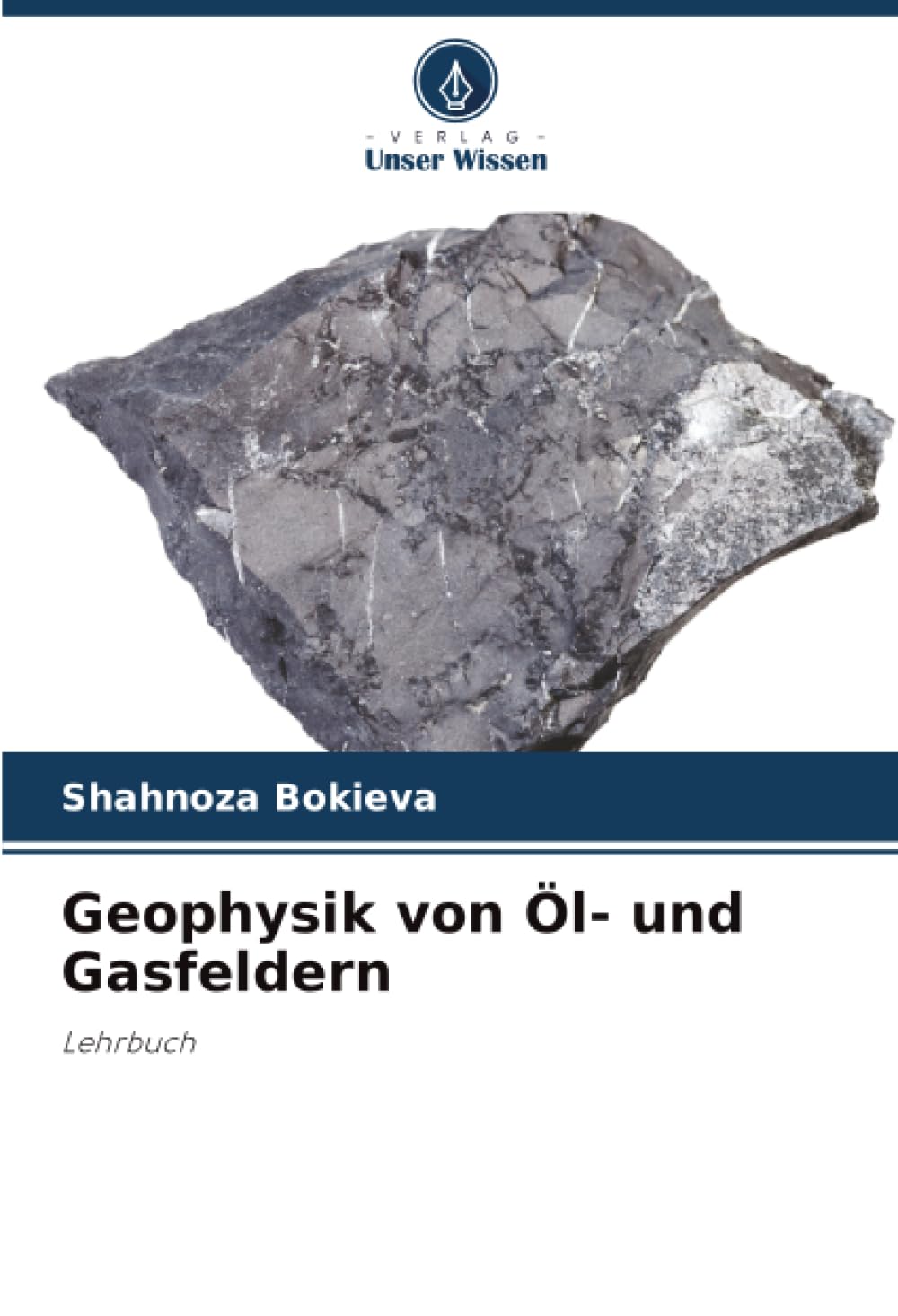 Geophysik von Öl- und Gasfeldern Business & Technology