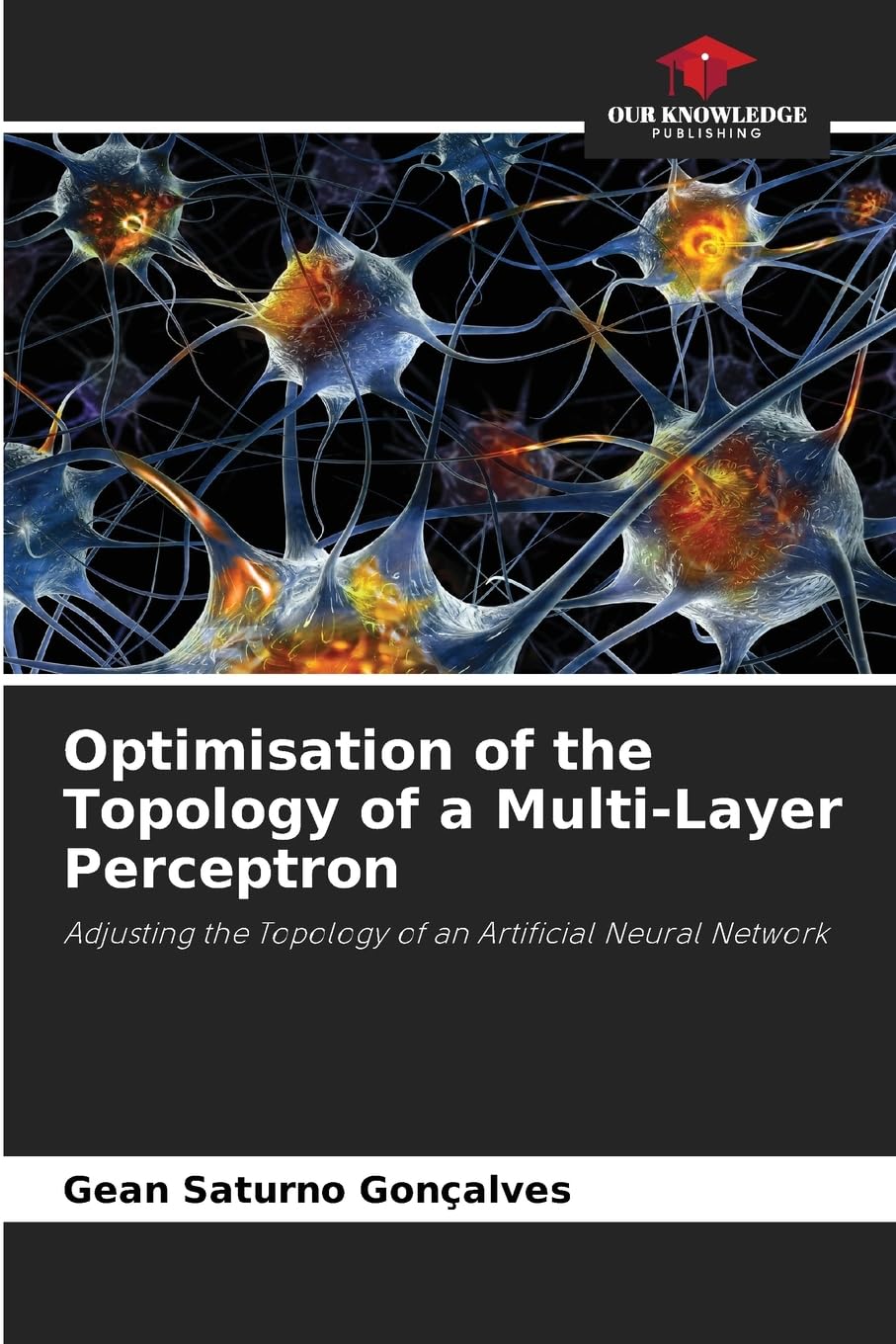 Optimisation of the Topology of a Multi-Layer Perceptron Mathematics