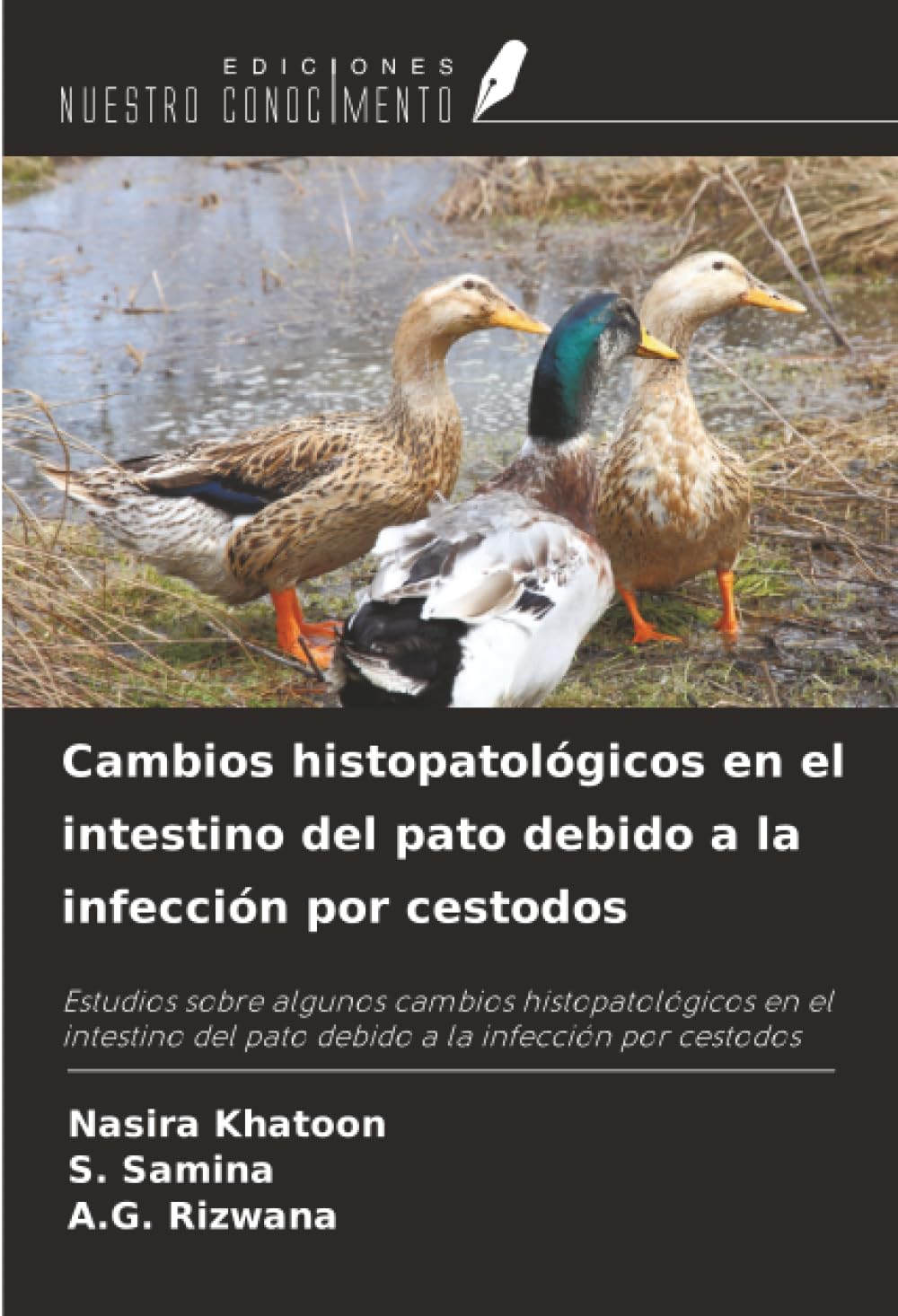 Cambios histopatológicos en el intestino del pato debido a la infección por cestodos Natural Sciences