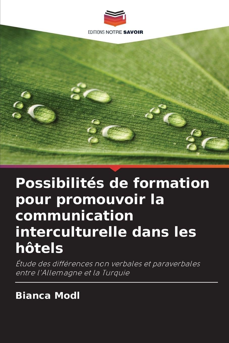 Possibilités de formation pour promouvoir la communication interculturelle dans les hôtels Law