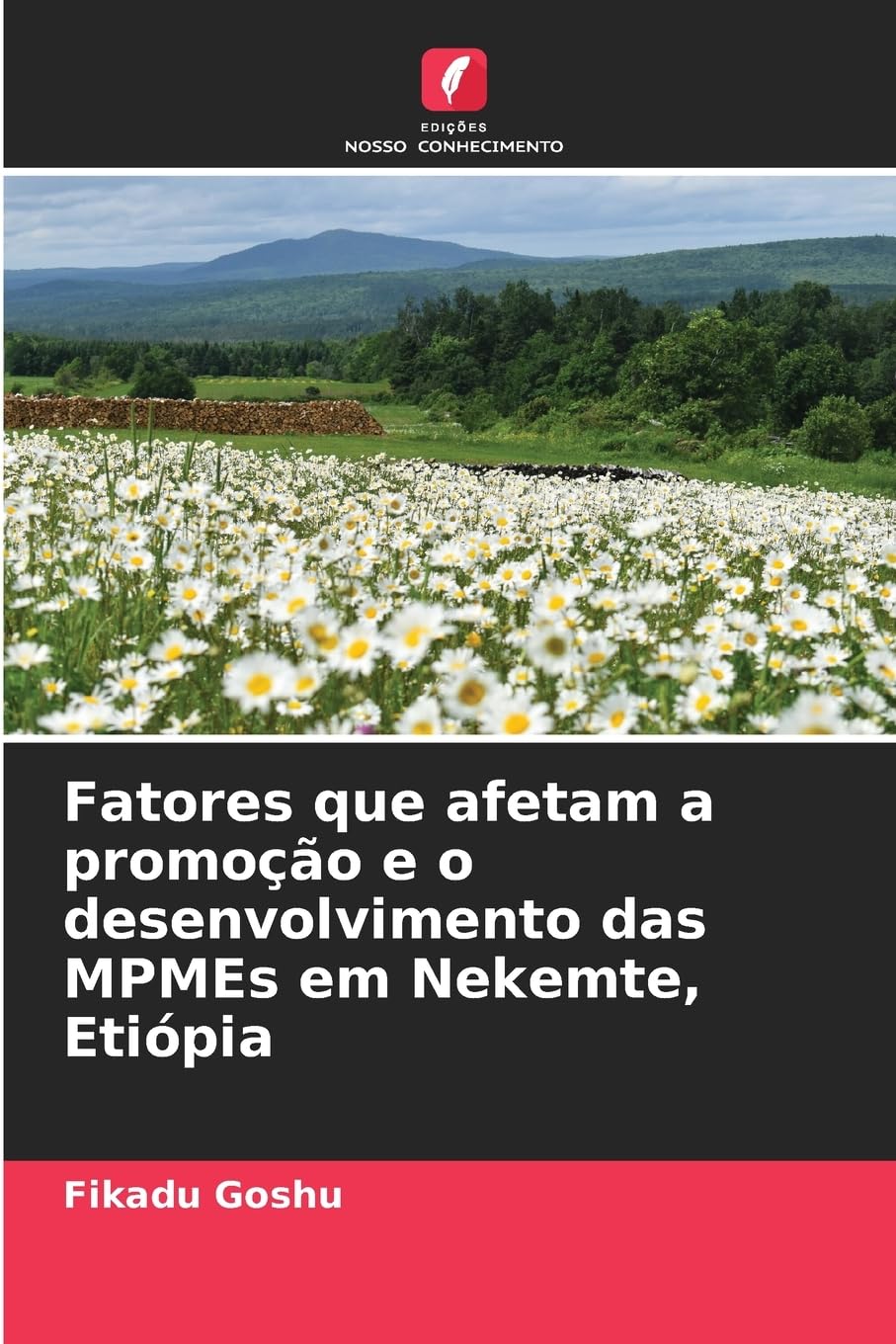 Fatores que afetam a promoção e o desenvolvimento das MPMEs em Nekemte, Etiópia Law