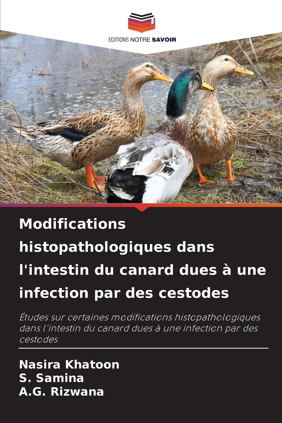 Modifications histopathologiques dans l'intestin du canard dues à une infection par des cestodes Natural Sciences
