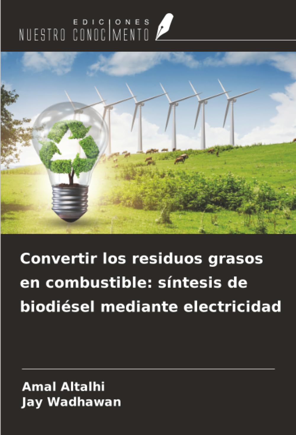 Convertir los residuos grasos en combustible: síntesis de biodiésel mediante electricidad Natural Sciences