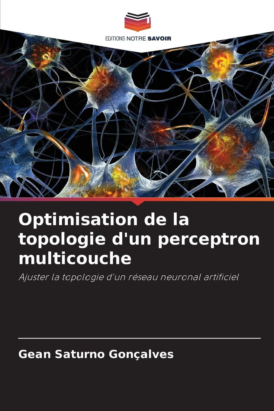 Optimisation de la topologie d'un perceptron multicouche Mathematics