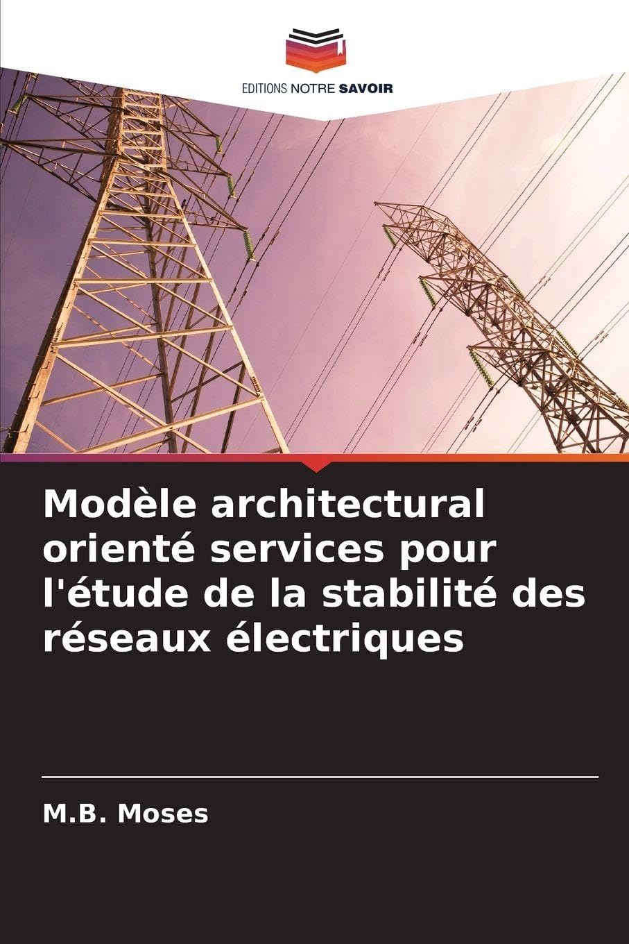 Modèle architectural orienté services pour l'étude de la stabilité des réseaux électriques Natural Sciences