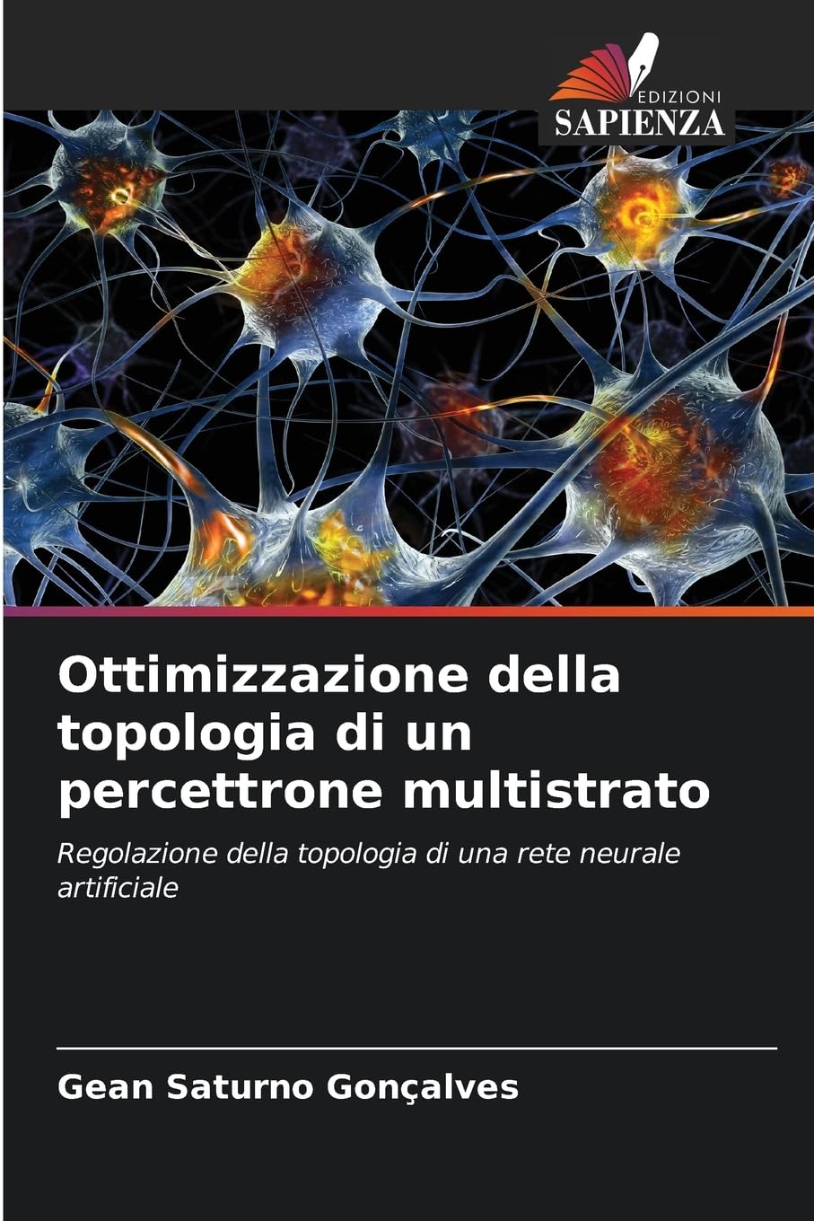 Ottimizzazione della topologia di un percettrone multistrato Mathematics