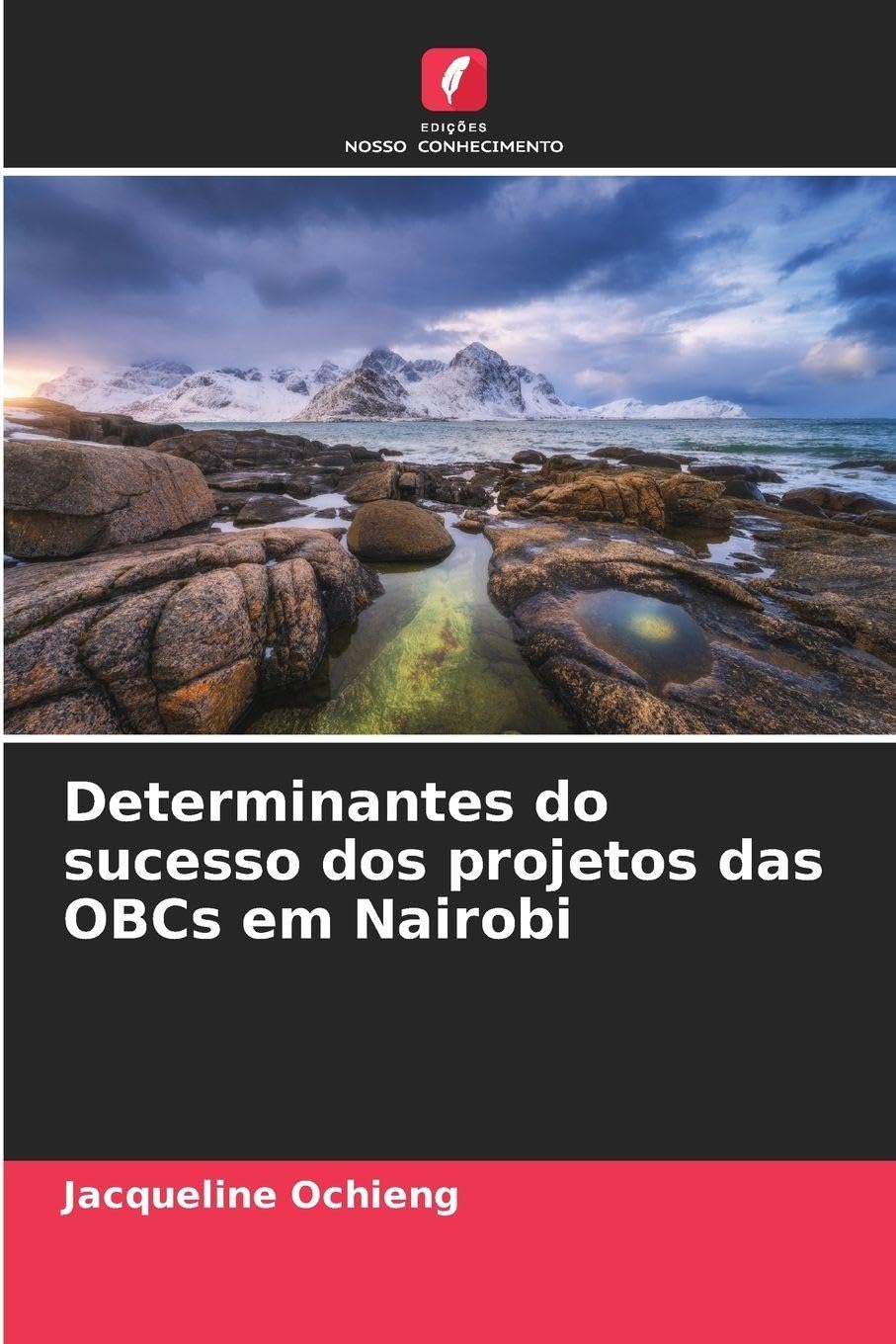 Determinantes do sucesso dos projetos das OBCs em Nairobi Law