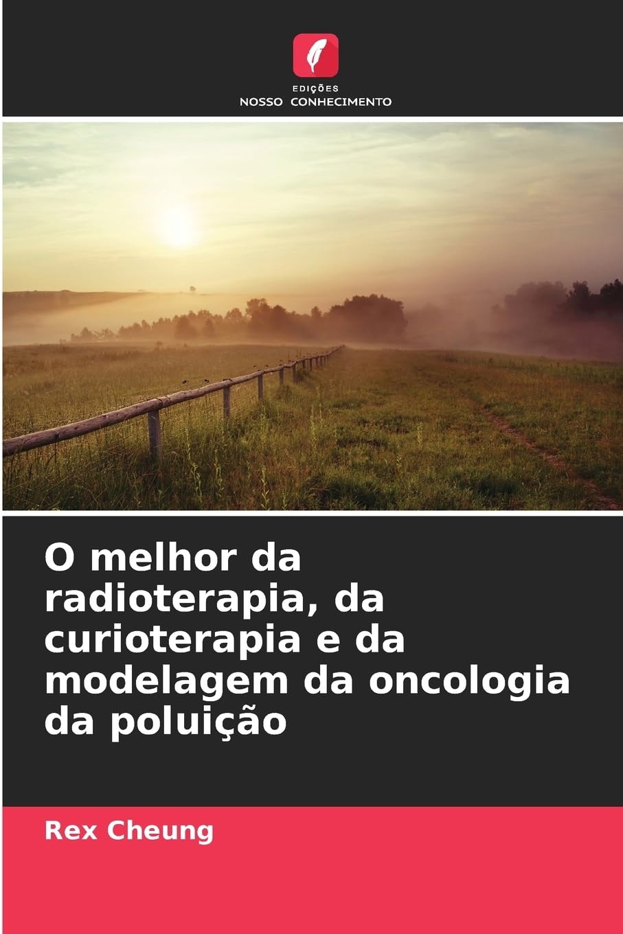 O melhor da radioterapia, da curioterapia e da modelagem da oncologia da poluição Medicine