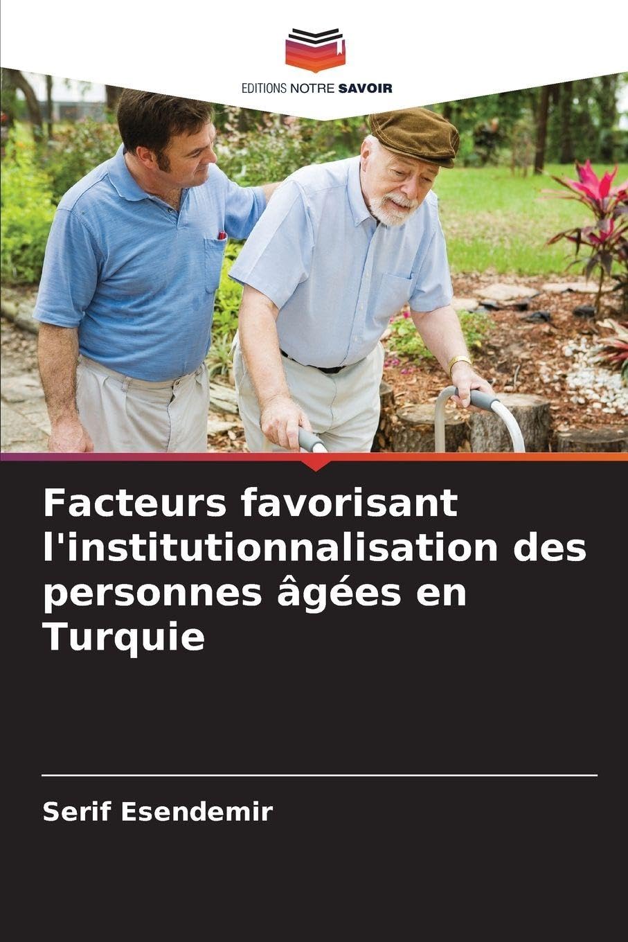 Facteurs favorisant l'institutionnalisation des personnes âgées en Turquie Law