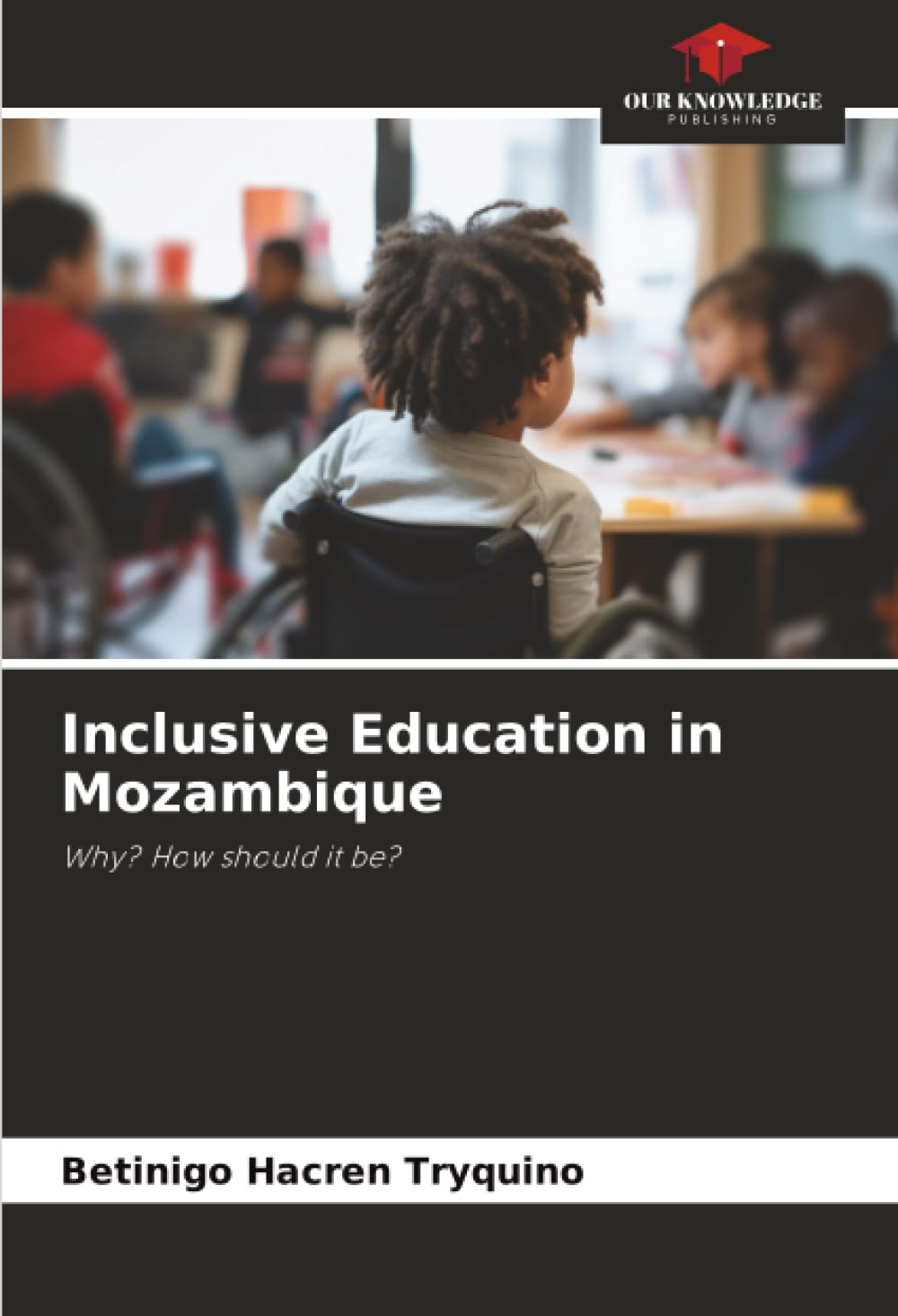Inclusive Education in Mozambique Education & Training