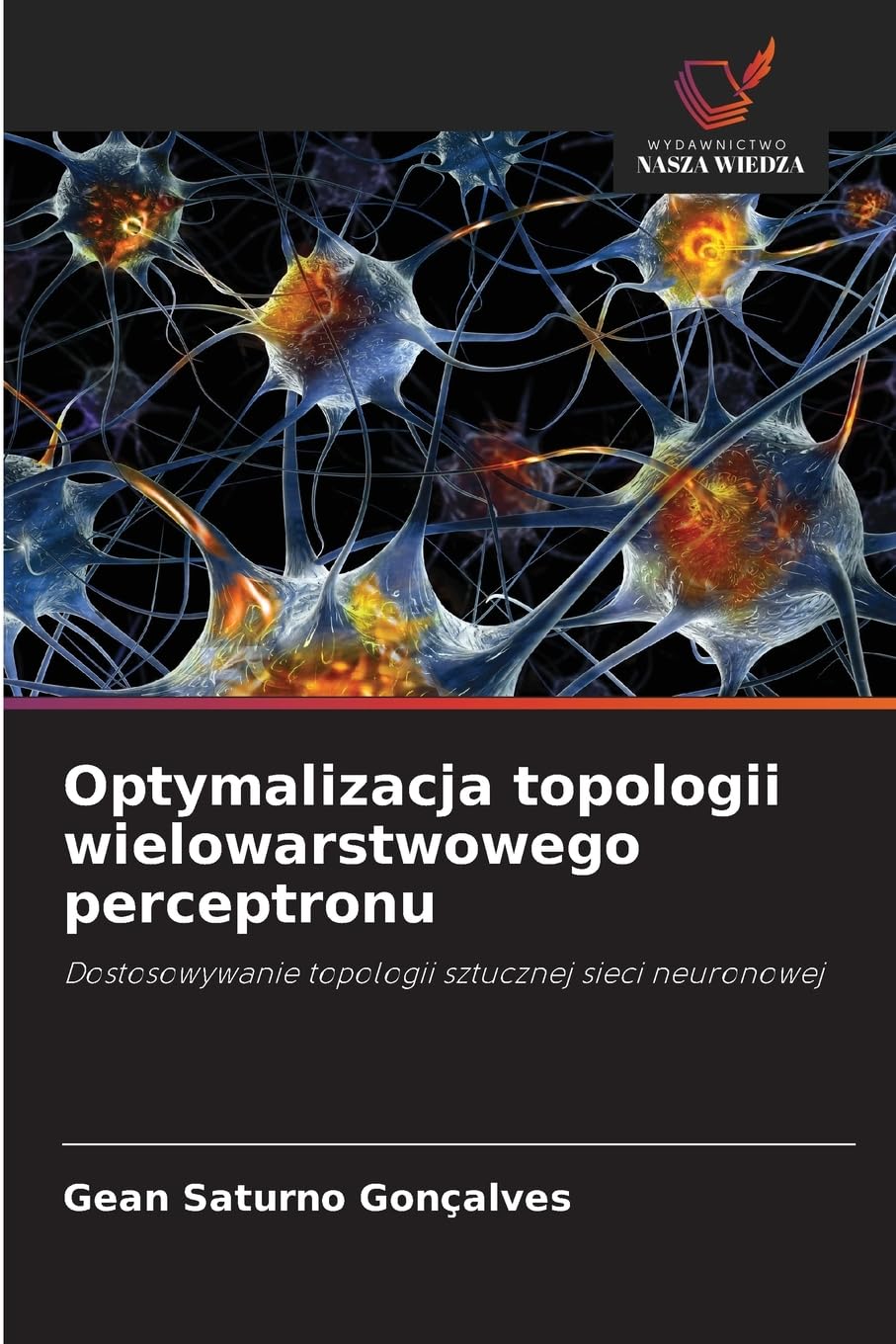 Optymalizacja topologii wielowarstwowego perceptronu Mathematics