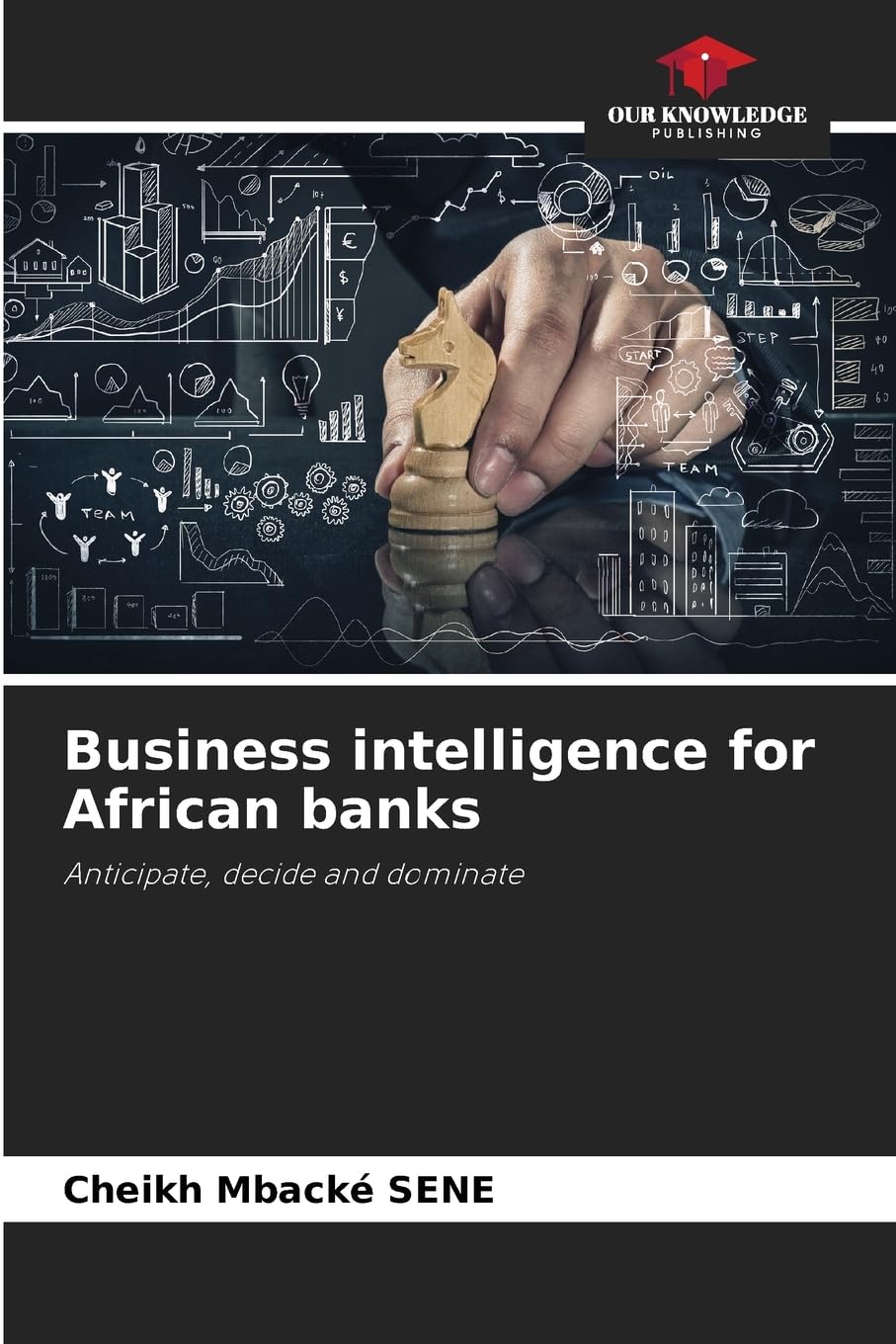 Business intelligence for African banks Books