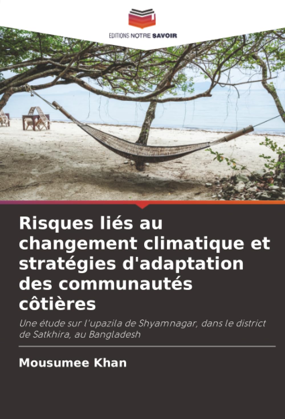 Risques liés au changement climatique et stratégies d'adaptation des communautés côtières Books