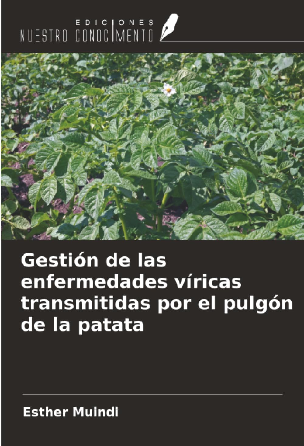 Gestión de las enfermedades víricas transmitidas por el pulgón de la patata Business, Finance & Career