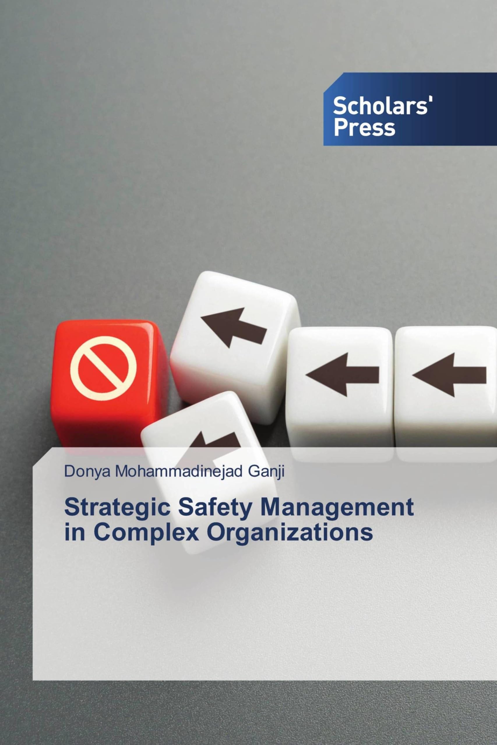 Strategic Safety Management in Complex Organizations Law