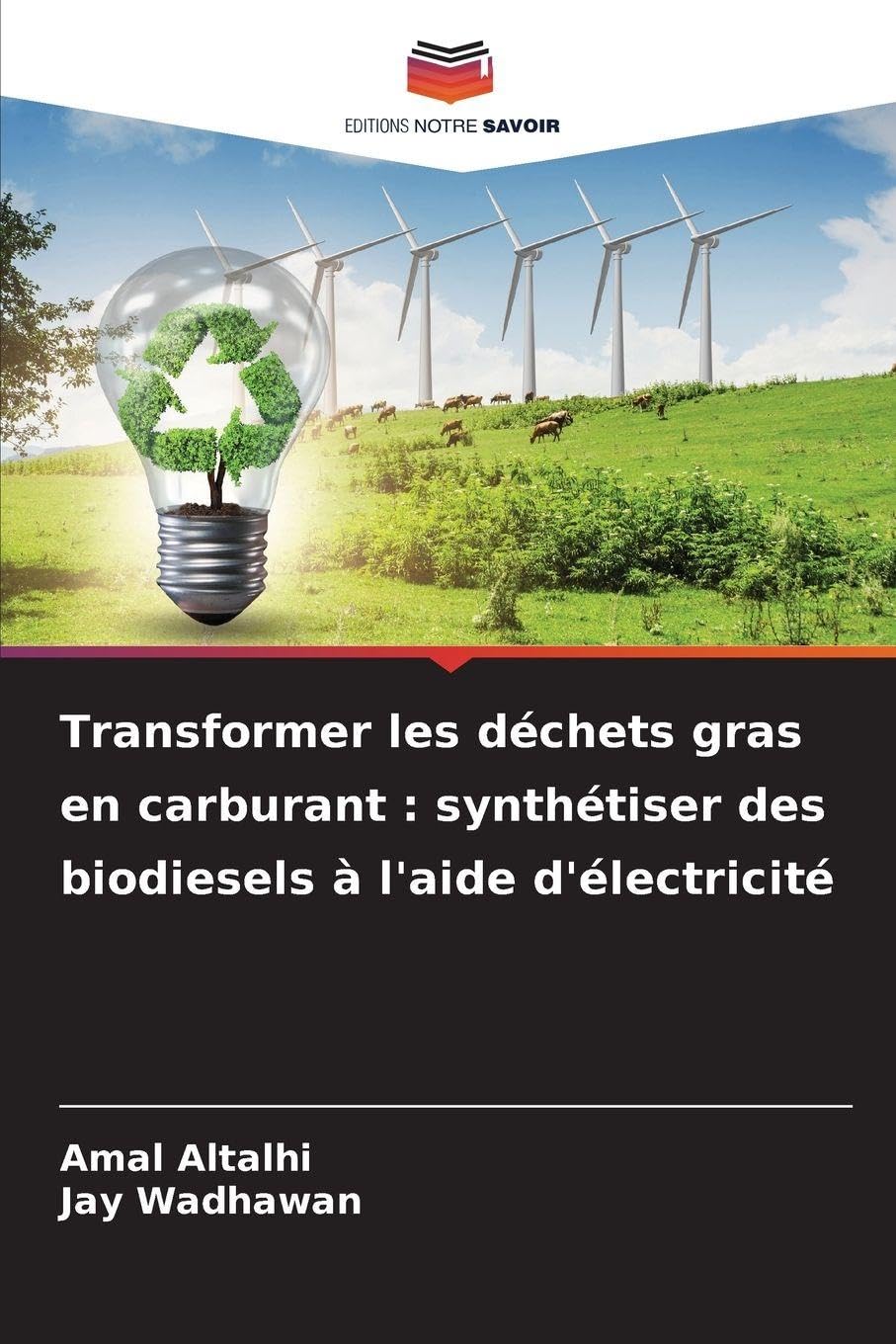 Transformer les déchets gras en carburant : synthétiser des biodiesels à l'aide d'électricité Natural Sciences