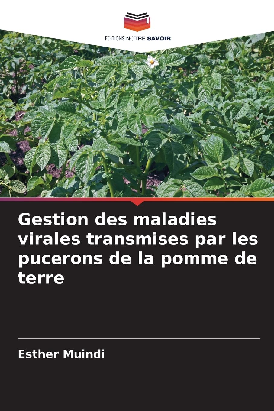 Gestion des maladies virales transmises par les pucerons de la pomme de terre Business, Finance & Career