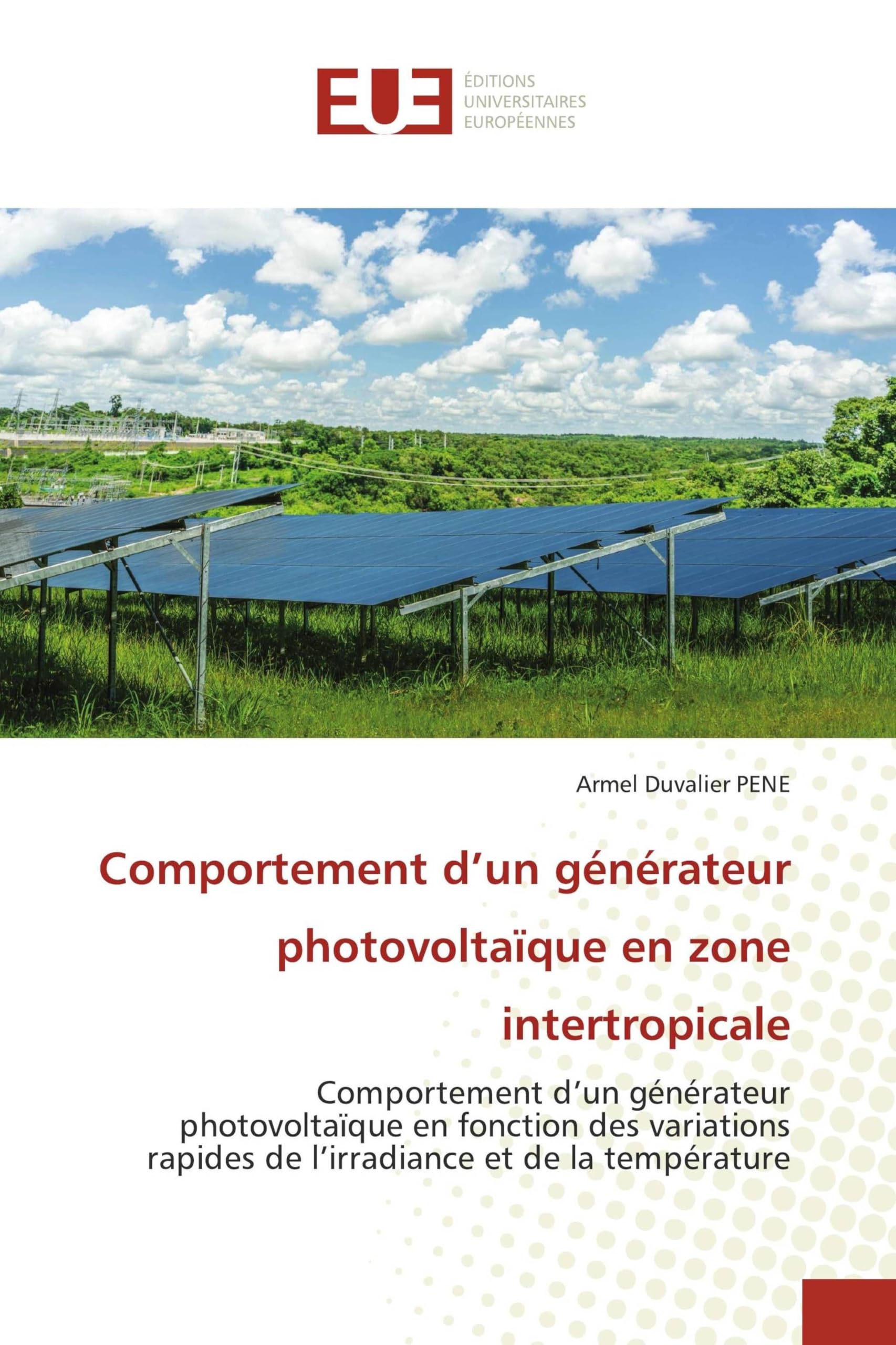 Comportement d'un générateur photovoltaïque en zone intertropicale Business & Technology