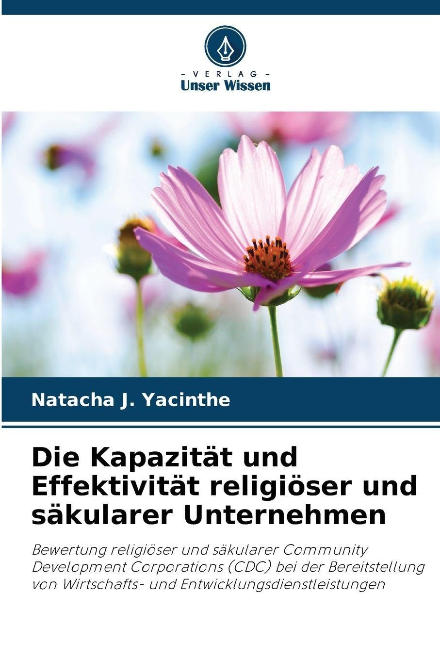 Die Kapazität und Effektivität religiöser und säkularer Unternehmen Law