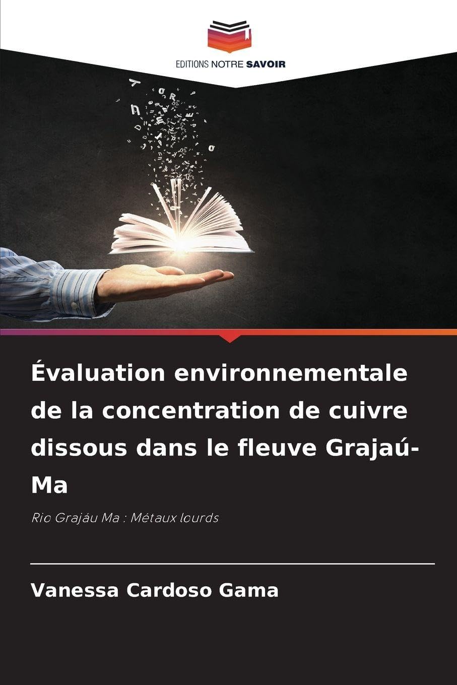 Évaluation environnementale de la concentration de cuivre dissous dans le fleuve Grajaú-Ma Natural Sciences