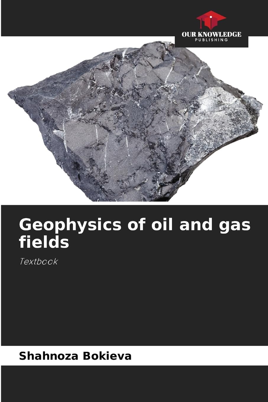 Geophysics of oil and gas fields Business & Technology