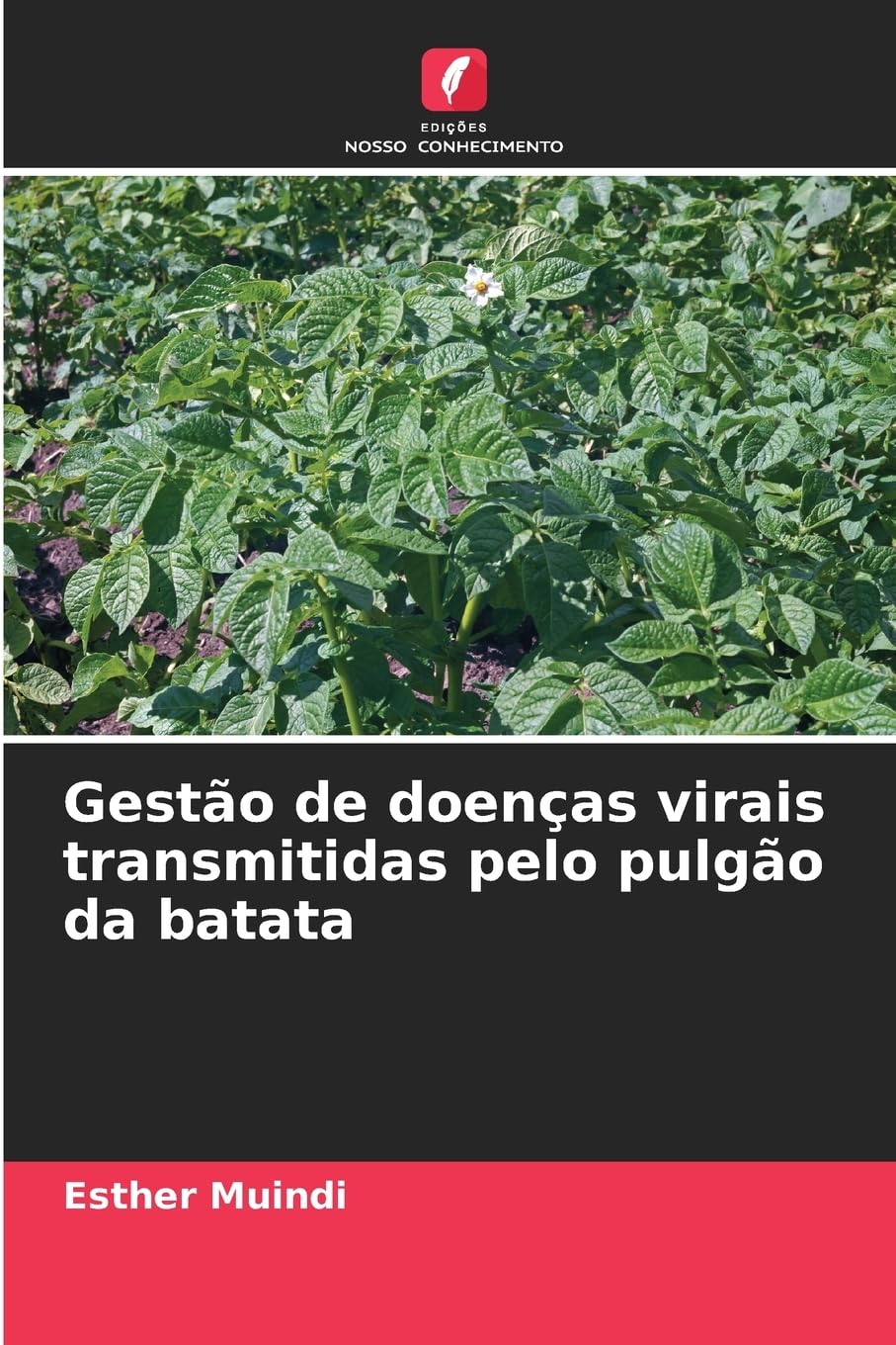 Gestão de doenças virais transmitidas pelo pulgão da batata Business, Finance & Career