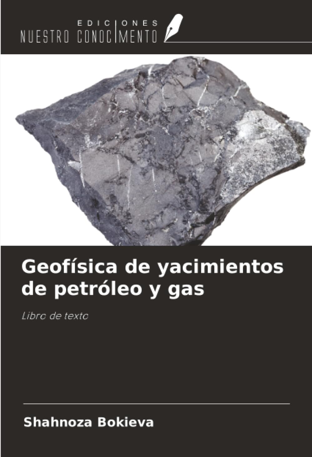 Geofísica de yacimientos de petróleo y gas Business & Technology