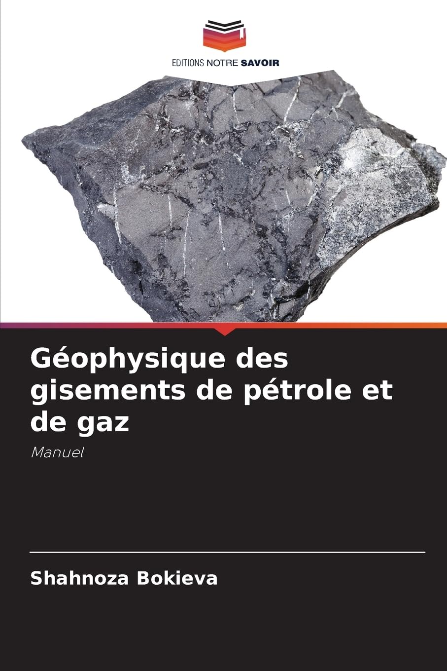 Géophysique des gisements de pétrole et de gaz Business & Technology