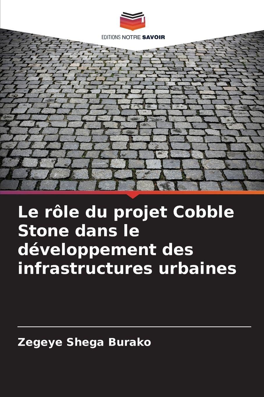 Le rôle du projet Cobble Stone dans le développement des infrastructures urbaines Books