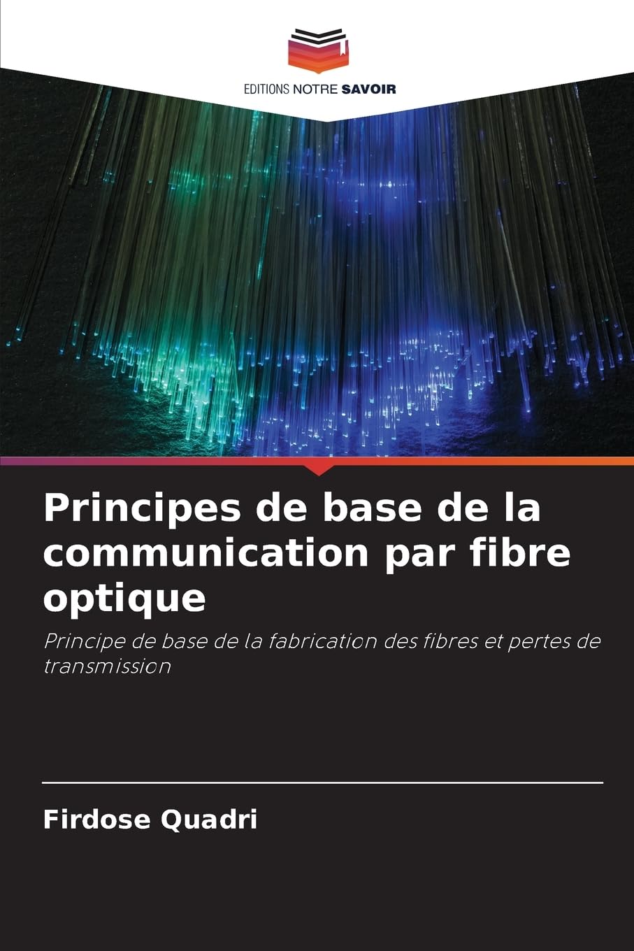 Principes de base de la communication par fibre optique Business & Technology