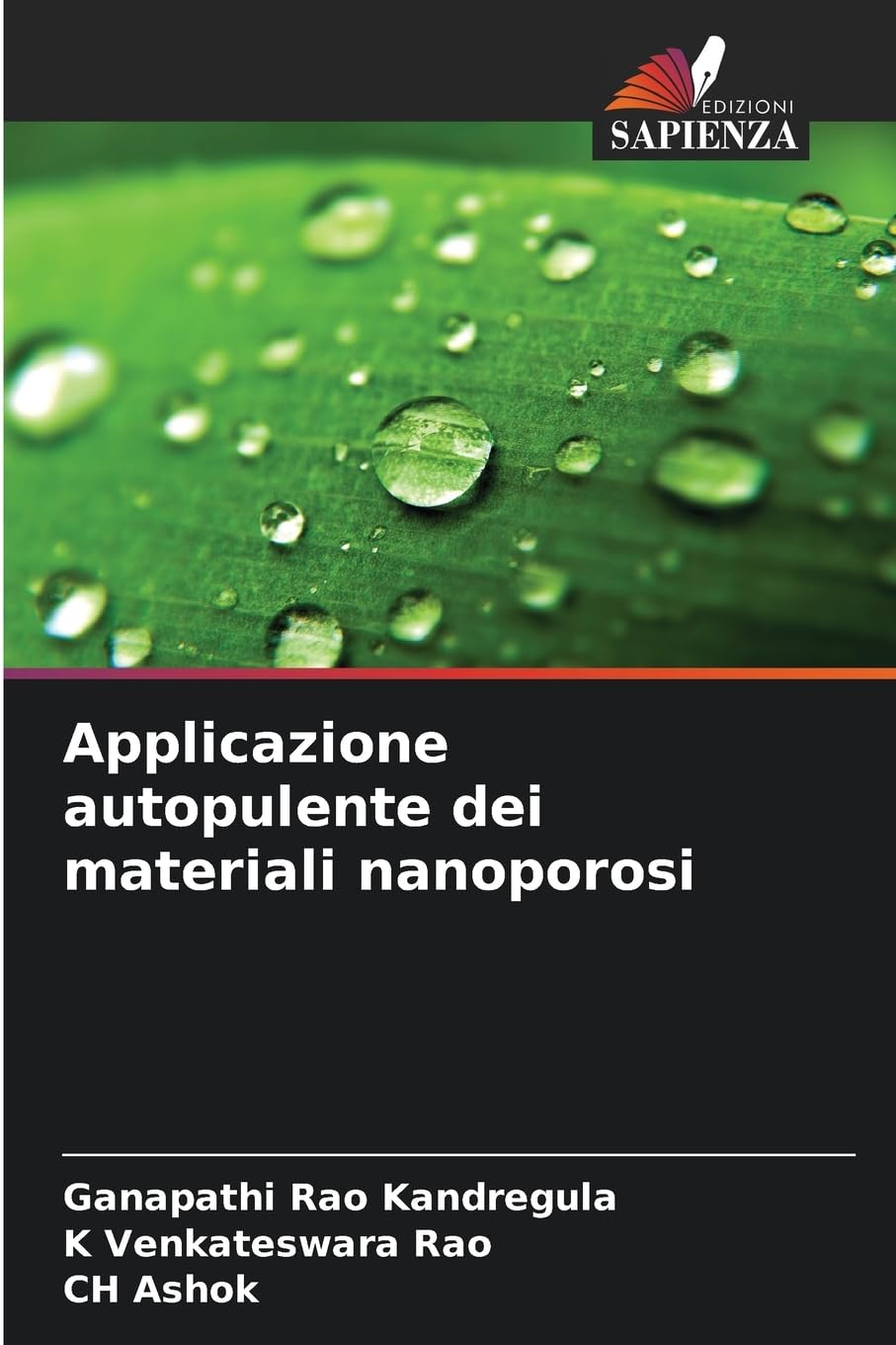 Applicazione autopulente dei materiali nanoporosi Business & Technology